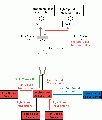 UsbHub.gif